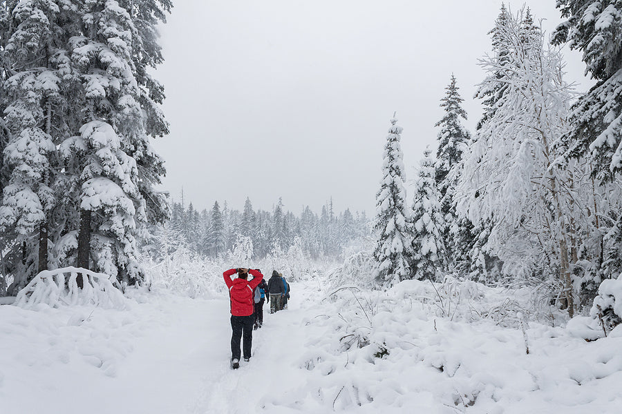 How To Hike Safely In Winter